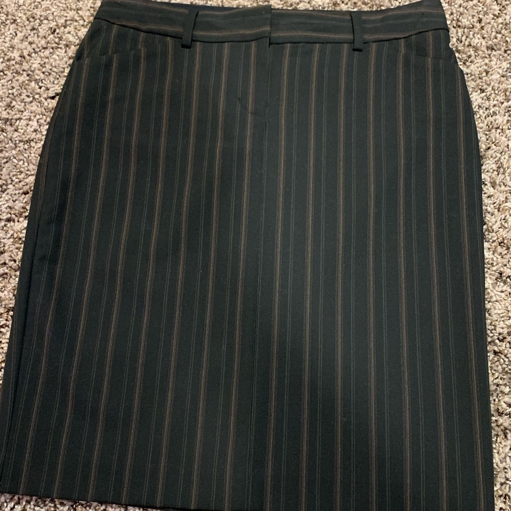 Beautiful EXPRESS Editor skirt